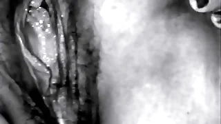 1179 euro porn videos